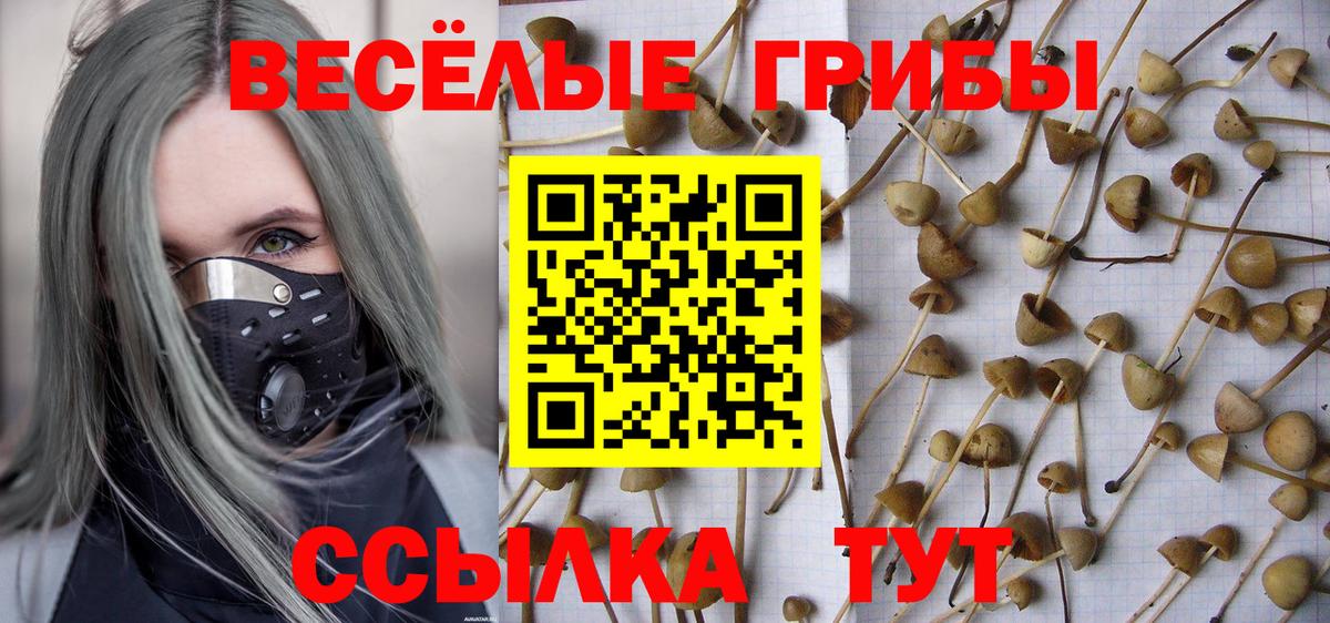 Псилоцибиновые грибы мухоморы  Вход с VPN  Галлюциногенные грибы MAGIC MUSHROOMS  Людиново 