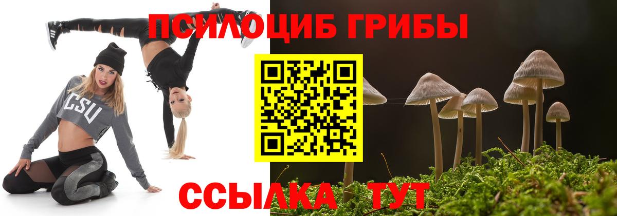 Галлюциногенные грибы ЛСД Людиново